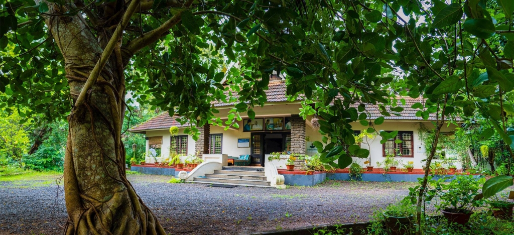  Sreekrishna Ayurveda